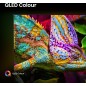 Hisense 50E7Q Pro 50 QLED 4K UHD (2160p) Sort